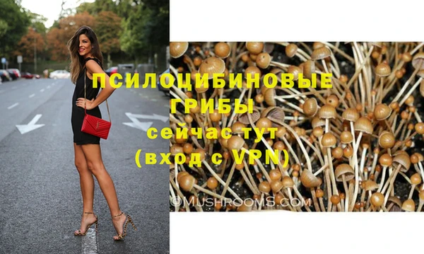 дмт Белокуриха