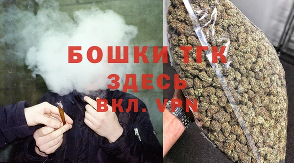 хмурый Богородск